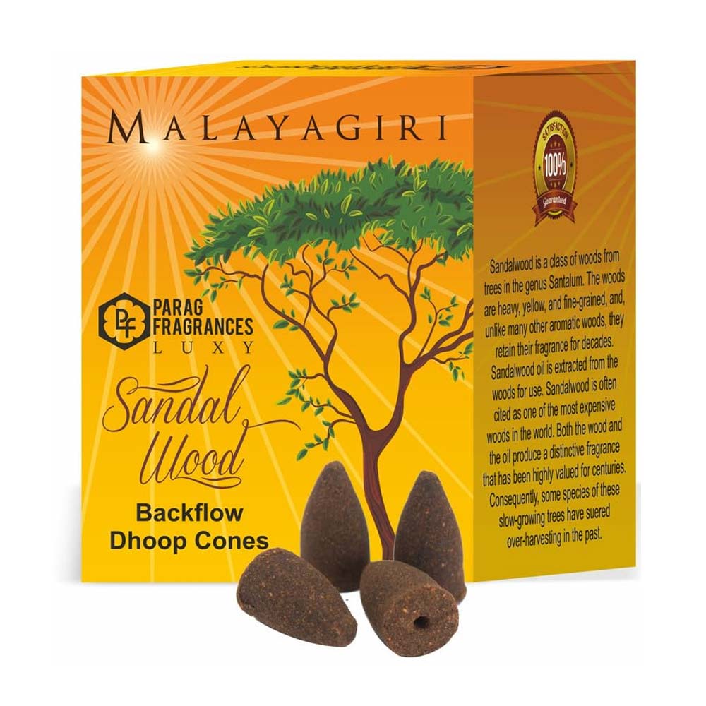 BACKFLOW-DHOOP-CONES